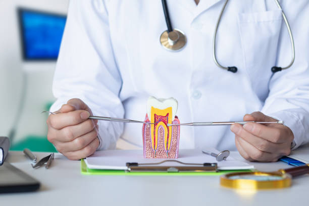 Best Emergency Root Canal Therapy in Stratford, NJ